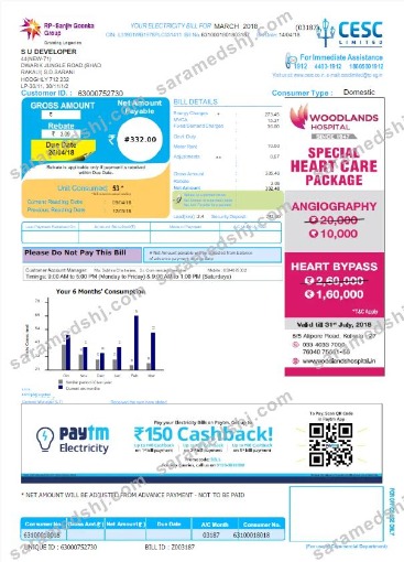 INDIA CESC LIMITED utility bill Word and PDF template